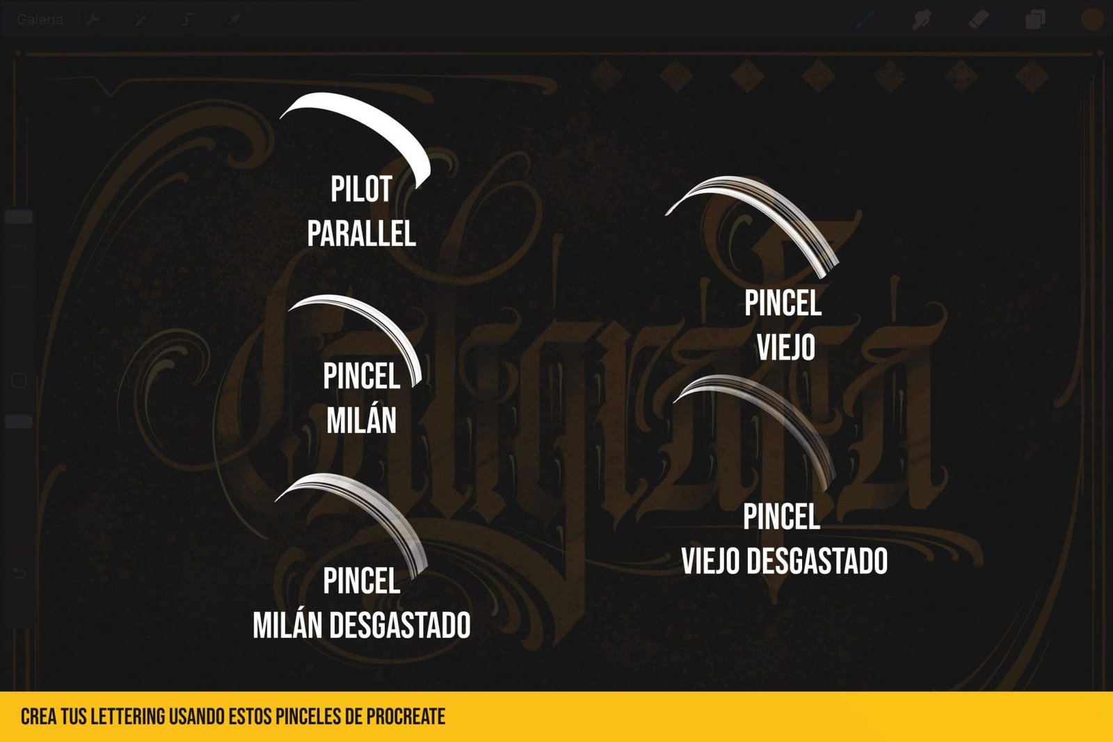 PINCELES-DE-CALIGRAFIA-GOTICA-PROCREATE-3